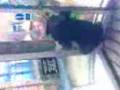 videos de illgiv u mre reasons 2 shop at morrisons