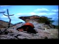  - MovieZen Video