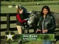 Caisson Platoon Horse Adoption