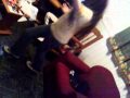 Brenda bailando pasos inventados !