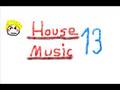 house music (electro) 13
