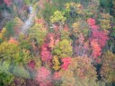 Our Trip to Gatlinburg, TN 2008