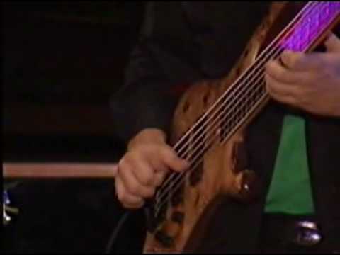 Only For Gold Fingers - Petrica Andrei Trio