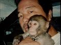 Monkey See, Monkey Waits Tables Monkey See, Monkey Waits Tables