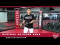Cung Le - Reverse Scissor Kick