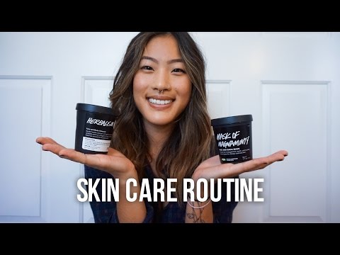 Skincare Routine ft. Lush!