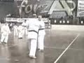 karate Reggio Calabria karate Reggio Calabria