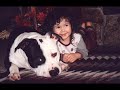 Just some clips I put together and me singing what I feel about these amazing creatures.  Don't laugh, I'm no professional but I believe very strongly in my dog.