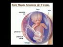 Baby Manzo-Mendoza\ Baby Manzo-Mendoza\