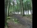 videos de Me at Newcastleton, one of the 7 Stanes Bike Trails