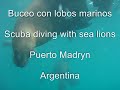 Argentina Video