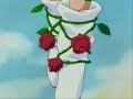Kamikaze Sailor moon