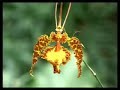 Guayaquil: Documental TurÃstico (4/6)