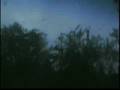 1 of the outer rain bands from tropical storm Hanna