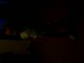 videos de crazy kid dancing