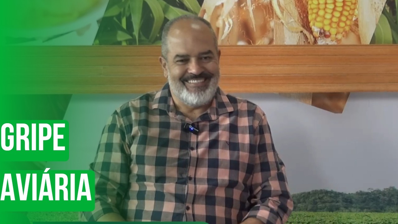 Gripe Aviária