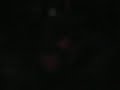 Vibravoid live In Berlin 2005