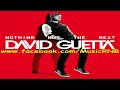 David Guetta feat. Nicki Minaj - Turn Me On [NEW SONG 2011] - Youtube video