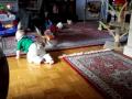 Cody & Ryan Mahurin Playing :)