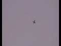 Savex L-39 Albatros and Wren MW 44 GOLD