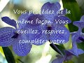 La Ballade des Fleurs La Ballade des Fleurs