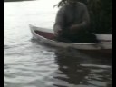 videos de mancing udang galah kal-bar