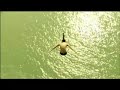 Red Bull Cliff Diving Wolfgangsee 2008 - Trailer