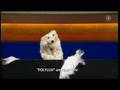 Titanic - Schmidt & Pocher - Rene Marik