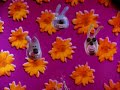 Rex the Runt Season 1 Episode 9