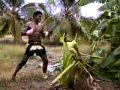 Video: Muay Thai Kickboxer Kicks Down Banana Tree