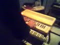 Antonelli organ