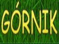 G�rnik ??czyca UBG