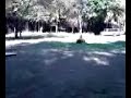 ATV JUMP BY A 5 YEAR OLD ATV JUMP BY A 5 YEAR OLD