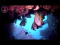 Relitto USSAT Liberty (Bali)