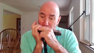  Chromatic Harmonica Tutorial & Review Videos