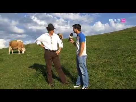 Tiere auf der Weide - Josef Praschberger, Kaiserwinkl