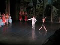 swan lake