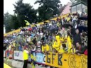 cilgin kanaryalar linz cilgin kanaryalar linz