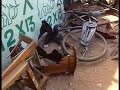 batti violance