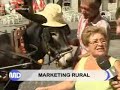 Llega el "publi-burro"