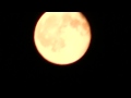 FULL MOON