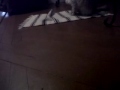 Click here to watch this video Baby Leeloo