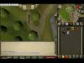 videos de runescape cook lvl 99