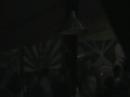 protoned, bufo live