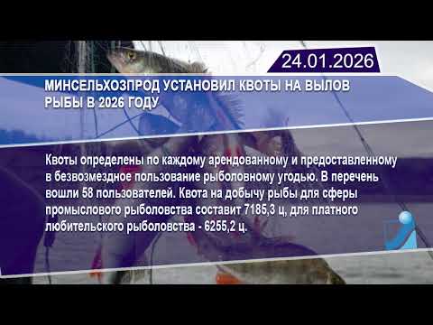 Новостная лента Телеканала Интекс 24.01.26.