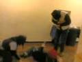 videos de 01122008(003)