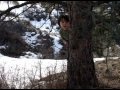 Click here to watch this video The Search For Bigfoot aka The Bush Boy