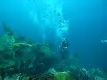 Caribbean Diving St. Vincent and the Grenadines The Bat Cave
