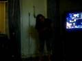 videos de Tora && Mariana- - - Animals Common Life.