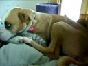 Frederick & Bella, pt.3